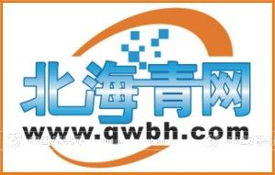 青蛙仔網絡代理 創新設計服務，開啟火爆招商新篇章